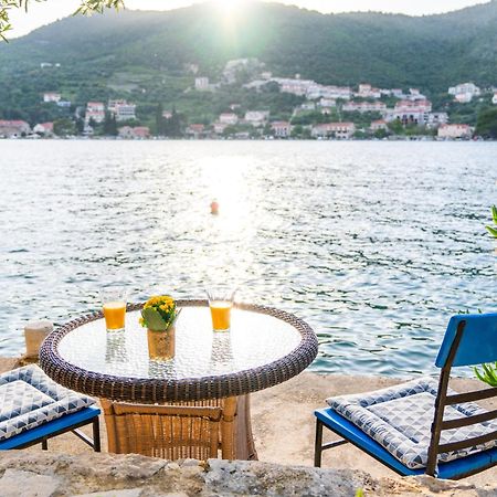 Art Apartment Seasoul Zaton (Dubrovnik-Neretva) Exterior foto