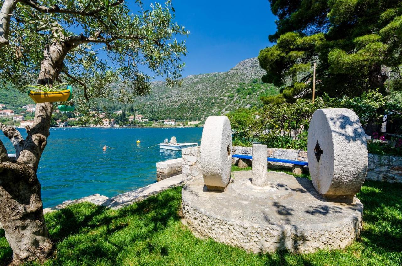 Art Apartment Seasoul Zaton (Dubrovnik-Neretva) Exterior foto